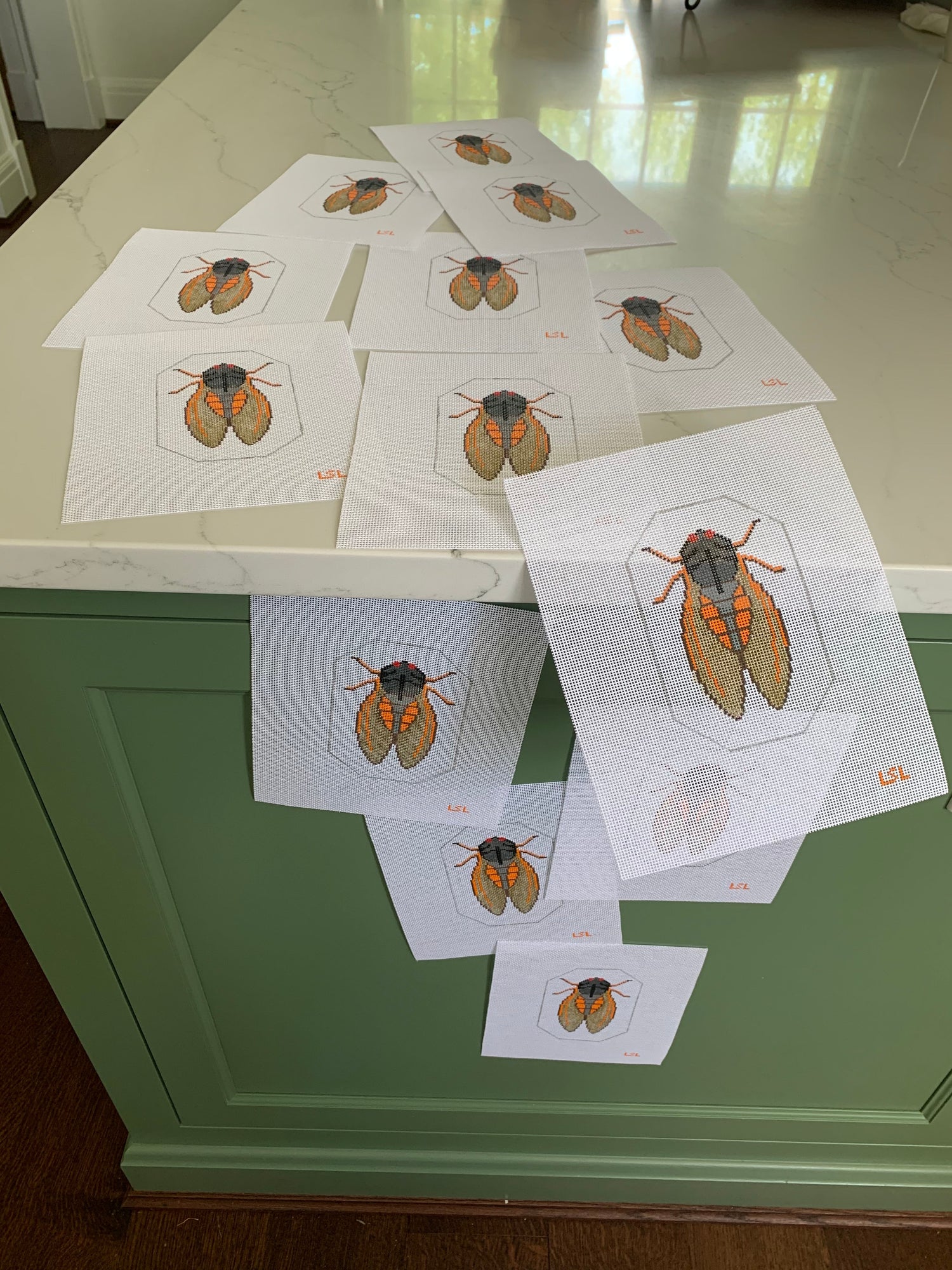CICADAS