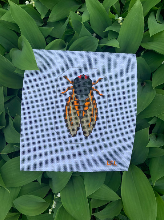 Cicada - 13ct