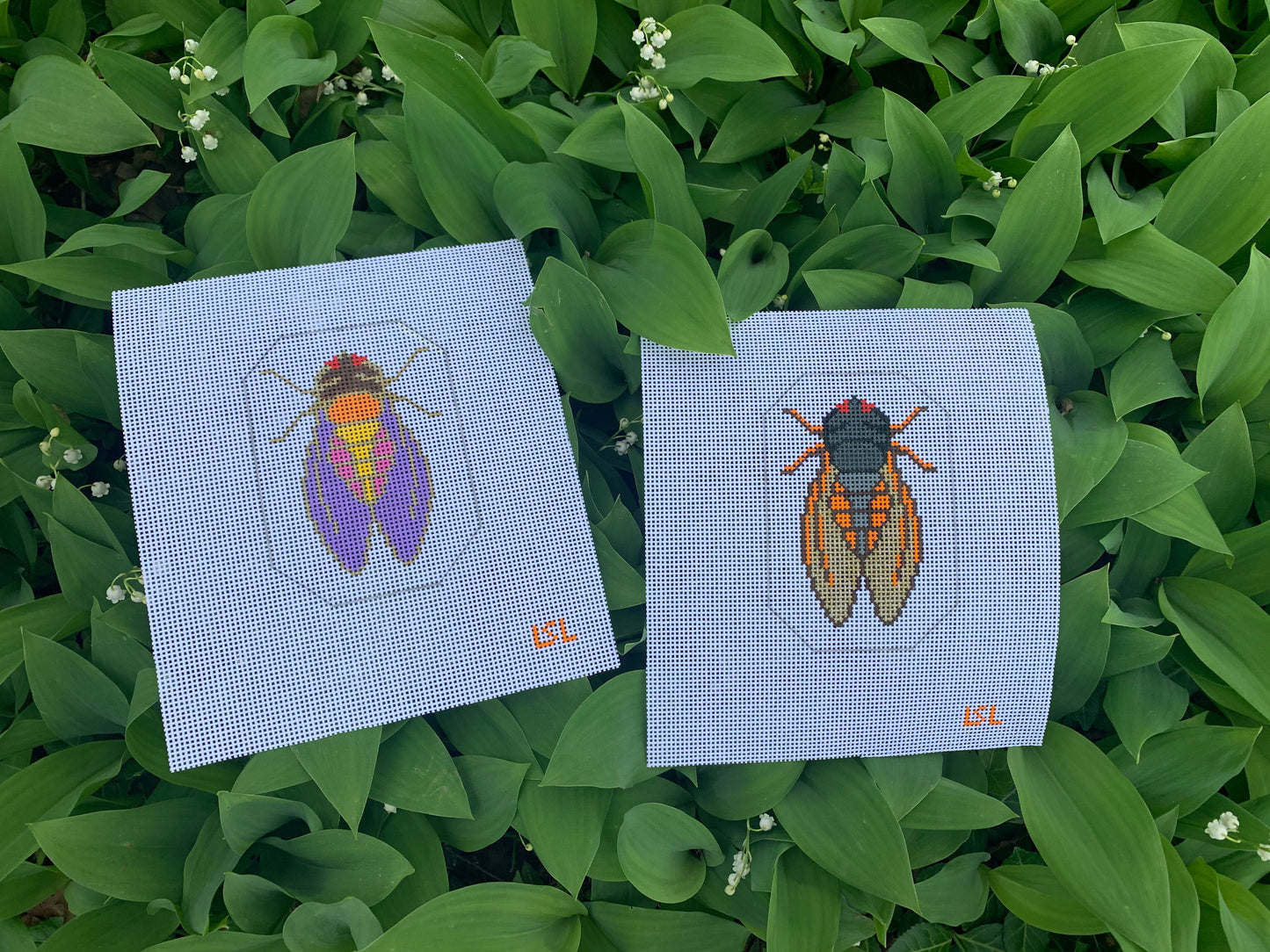 Cicada - 13ct